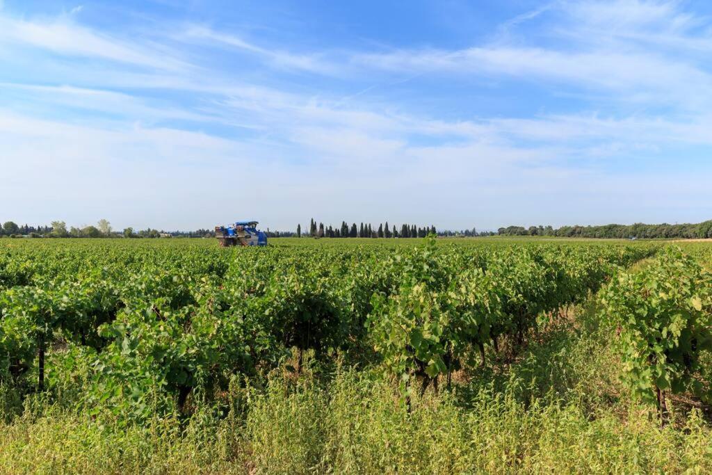 Les Gites De Grand Pere Jules Violes Экстерьер фото